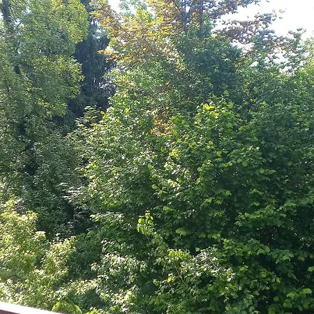 Ferienhaus Vorauf Rotdorn 3 Siegsdorf